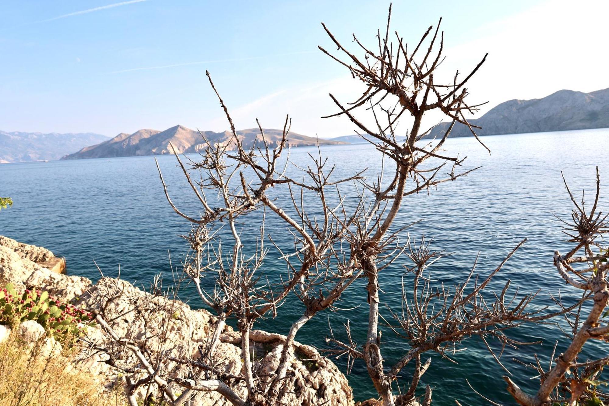 Villa Perla Baska Buitenkant foto